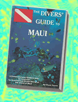 Divers' Guide Book Image